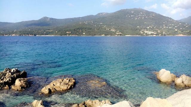 Magnifique Appartement Devant La Plage Propriano  Esterno foto
