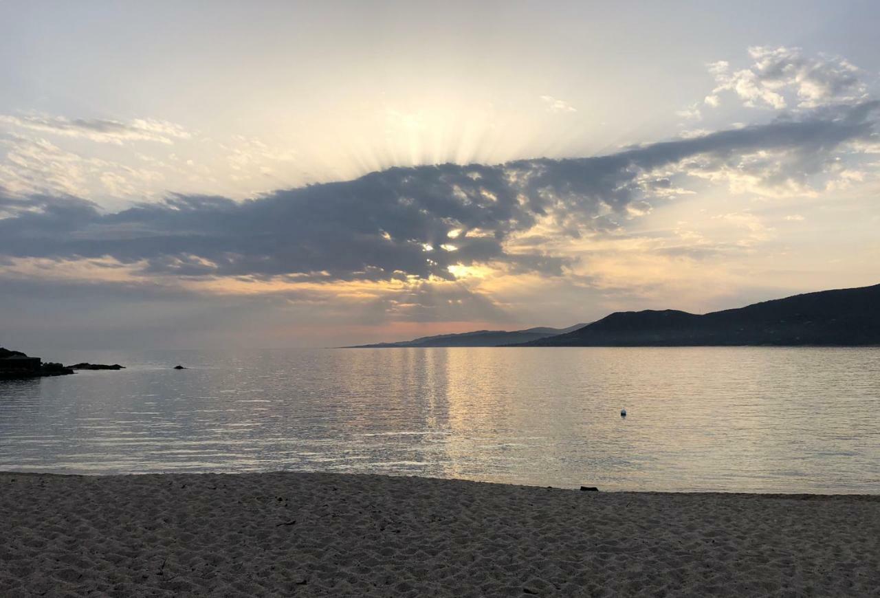 Magnifique Appartement Devant La Plage Propriano  Esterno foto